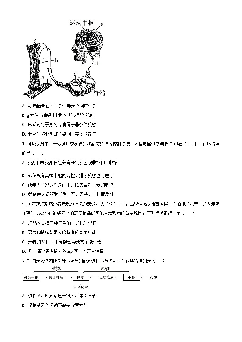 河北省邯郸市部分学校2024-2025学年高二上学期11月期中生物试题 Word版无答案第2页
