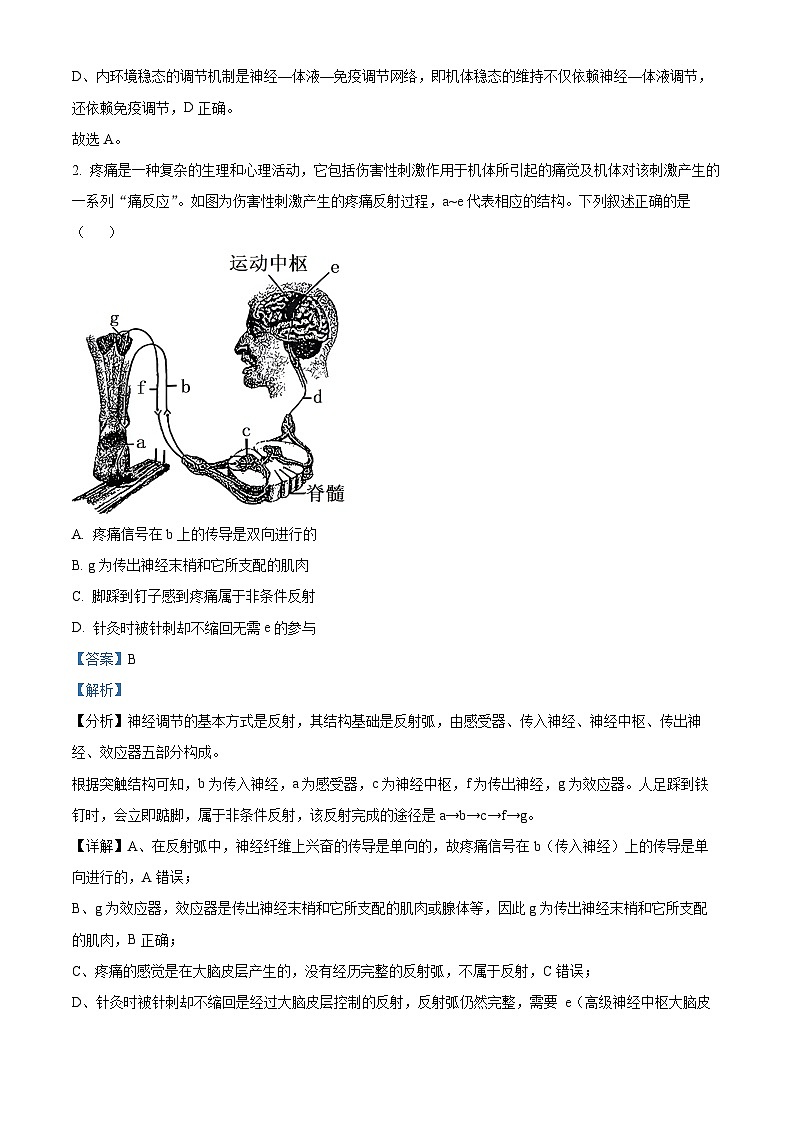 河北省邯郸市部分学校2024-2025学年高二上学期11月期中生物试题 Word版含解析第2页