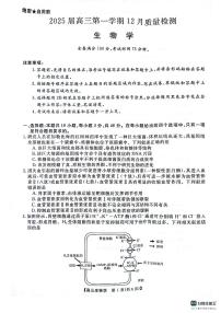 金科大联考河南2025届高三第一学期12月质量检测生物试卷及答案