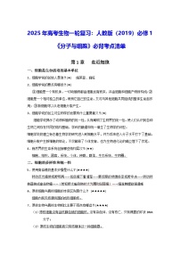 2025年高考生物一輪復(fù)習(xí)：人教版（2019）必修1《分子與細(xì)胞》必背考點(diǎn)清單