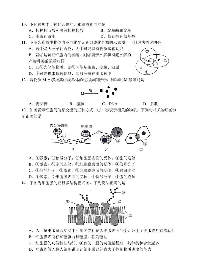 2024~2025学年福建省南平市高级中学高一(上)期中生物试卷(含答案)第3页