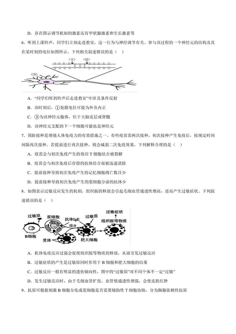 2024~2025学年青海省西宁市海湖中学高二(上)第二次阶段测试生物试卷(含答案)第2页