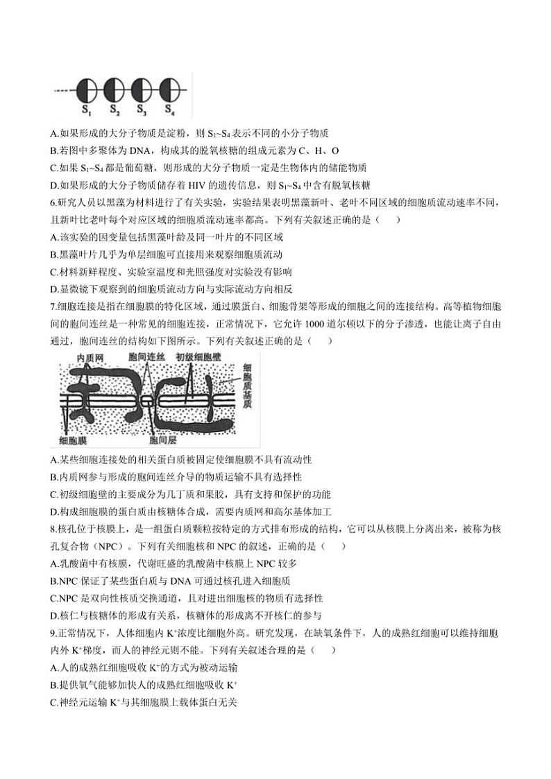2024~2025学年辽宁省锦州市某校高一(上)期末质量检测生物试卷(含答案)第2页