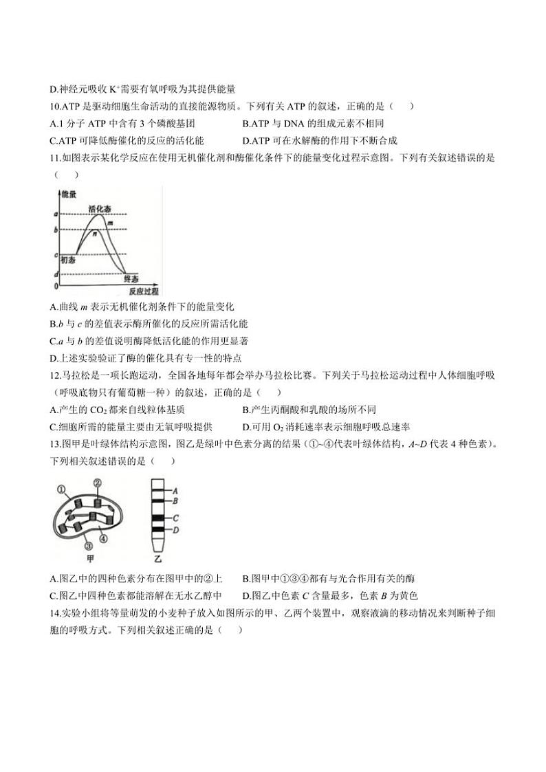 2024~2025学年辽宁省锦州市某校高一(上)期末质量检测生物试卷(含答案)第3页