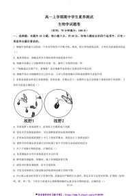 2024～2025学年安徽省合肥市一六八中学高一(上)期中生物试卷(含答案)