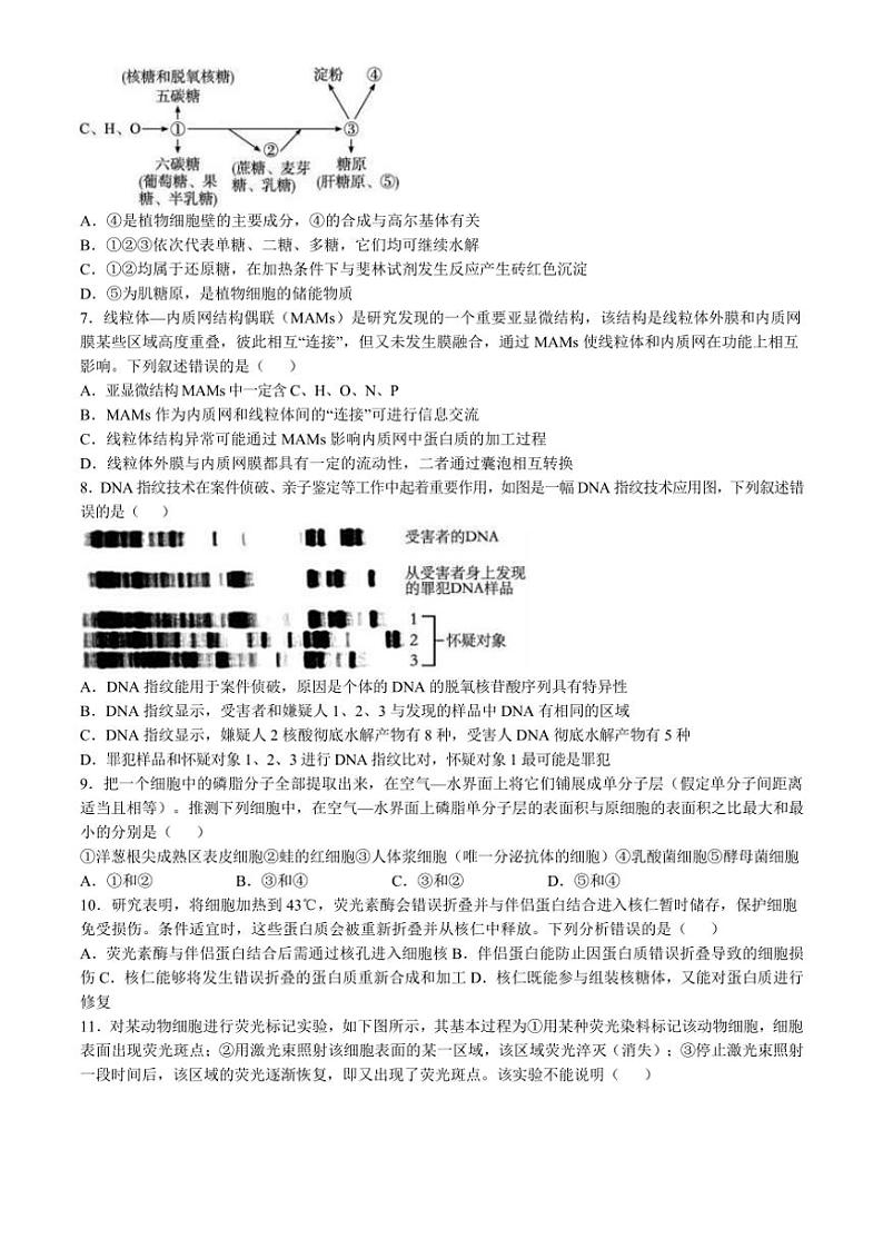 2024~2025学年重庆市渝西中学高一(上)12月月考生物试卷(含答案)第2页