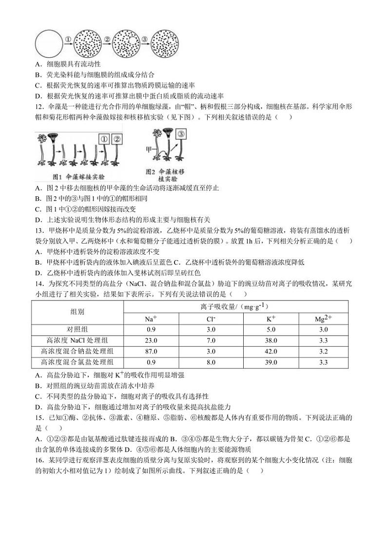 2024~2025学年重庆市渝西中学高一(上)12月月考生物试卷(含答案)第3页