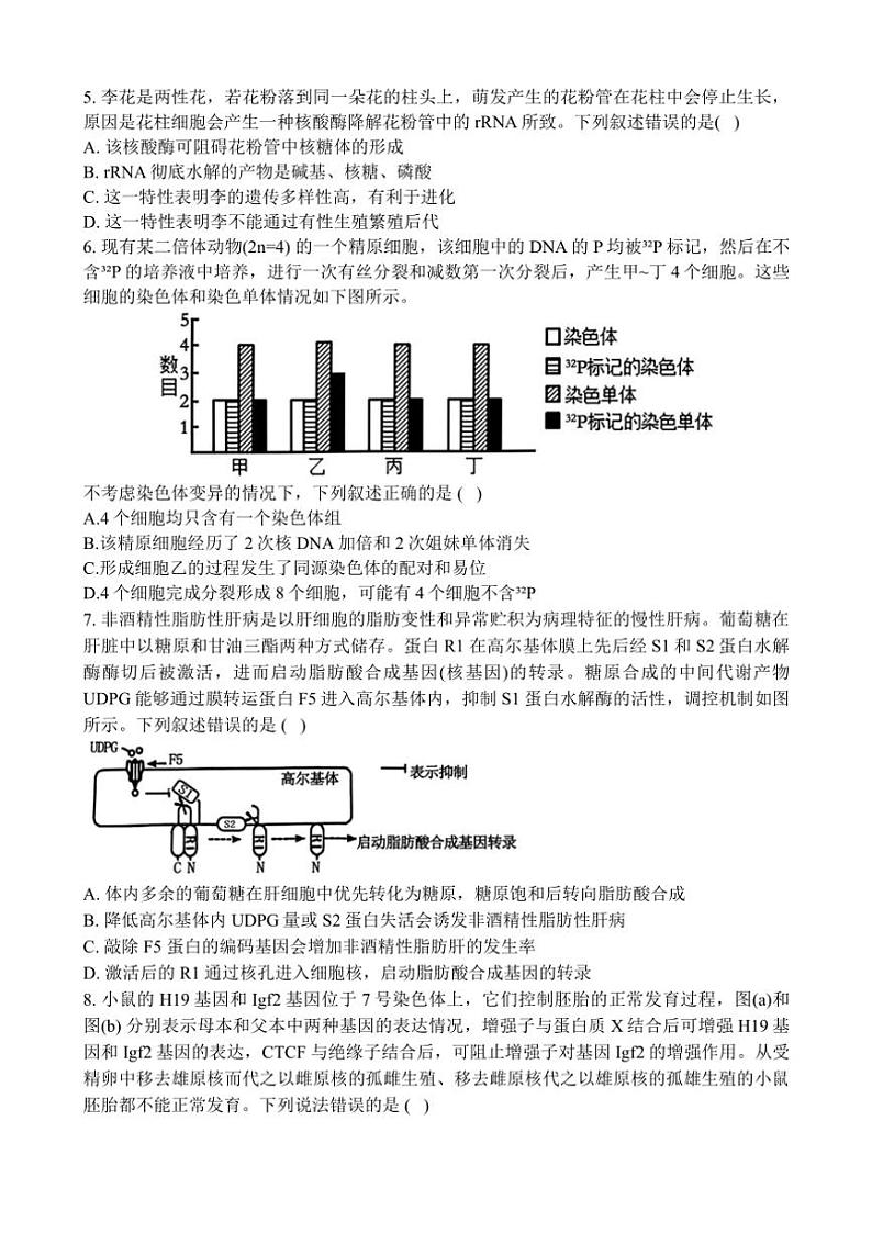 2024~2025学年江西省宜春市丰城市丰城中学高三(上)12月月考生物试卷(含答案)第2页