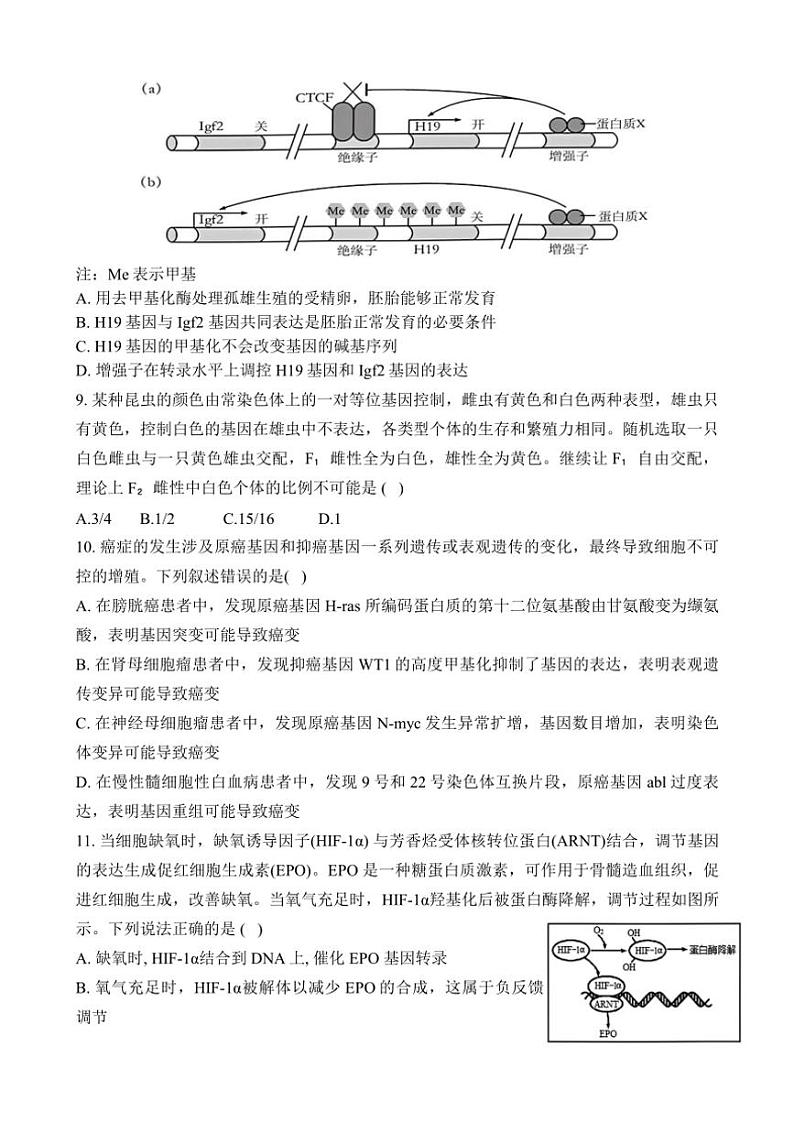 2024~2025学年江西省宜春市丰城市丰城中学高三(上)12月月考生物试卷(含答案)第3页
