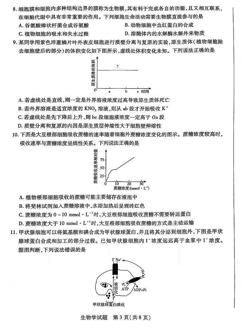安徽省天一联考2024-2025学年高一上学期12月月考生物试题第3页