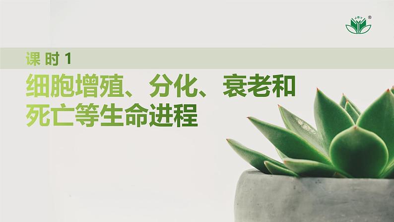 课时1 细胞增殖、分化、衰老和死亡等生命进程第4页