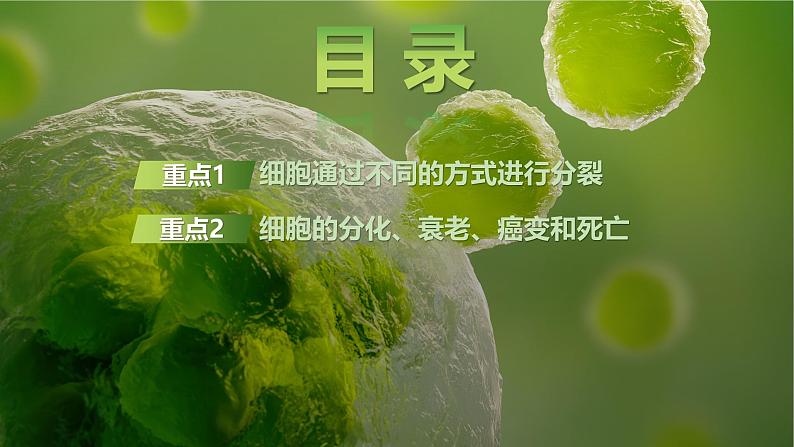 课时1 细胞增殖、分化、衰老和死亡等生命进程第5页