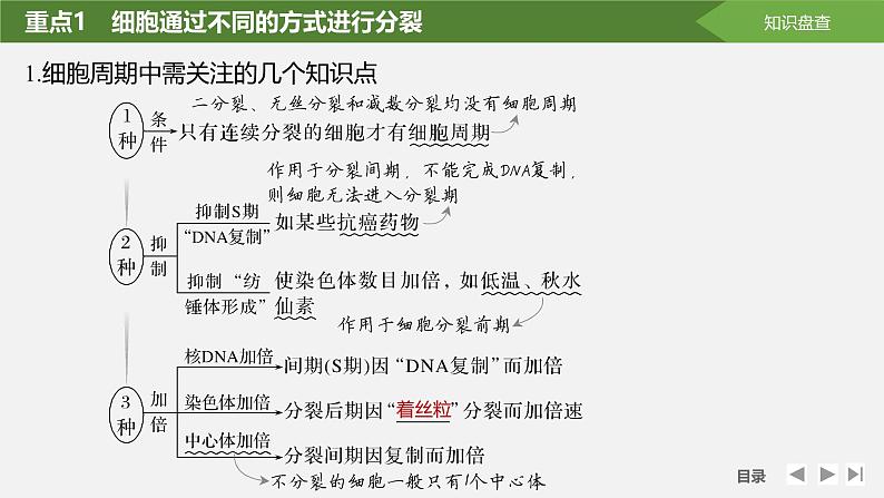 课时1 细胞增殖、分化、衰老和死亡等生命进程第7页