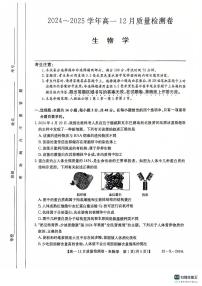 山西省三晋卓越联盟2024-2025学年高一上学期12月月考生物试卷（PDF版附解析）