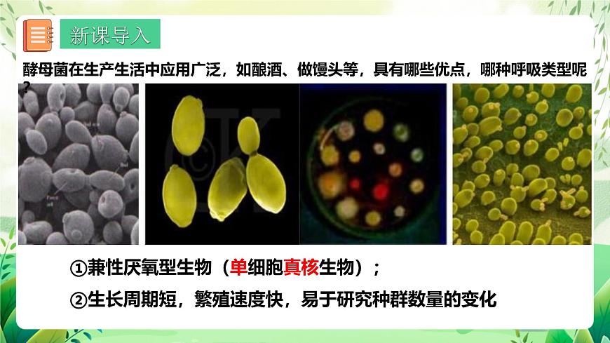 人教版高中生物選擇性必修二1.2.2《培養(yǎng)液中酵母菌種群數量的變化》（教學課件）第3頁