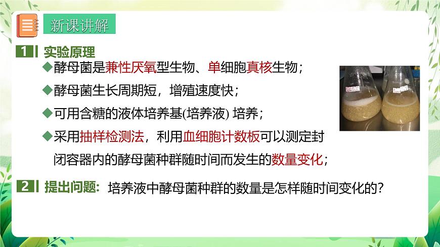 人教版高中生物選擇性必修二1.2.2《培養(yǎng)液中酵母菌種群數量的變化》（教學課件）第4頁