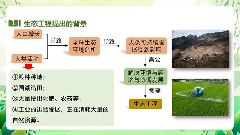 人教版高中生物选择性必修二4.3《生态工程》(教学课件)第5页