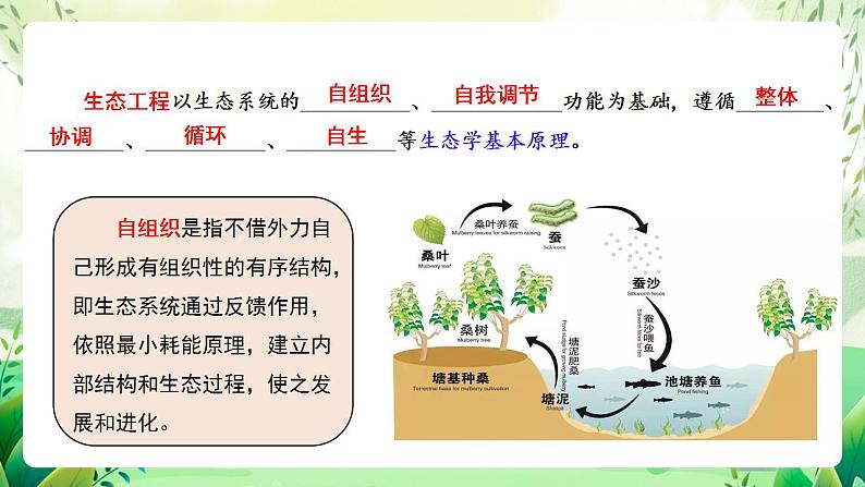 人教版高中生物选择性必修二4.3《生态工程》(教学课件)第7页
