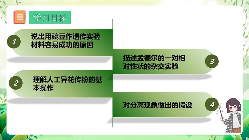 人教版高中生物必修二1.1《孟德爾的豌豆雜交實(shí)驗(yàn)(一)》（第1課時）（教學(xué)課件）第2頁