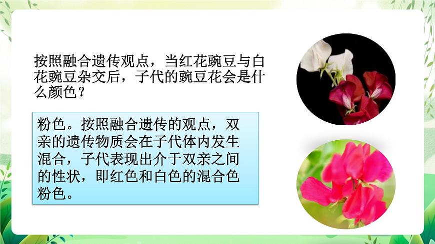 人教版高中生物必修二1.1《孟德爾的豌豆雜交實(shí)驗(yàn)(一)》（第1課時）（教學(xué)課件）第4頁