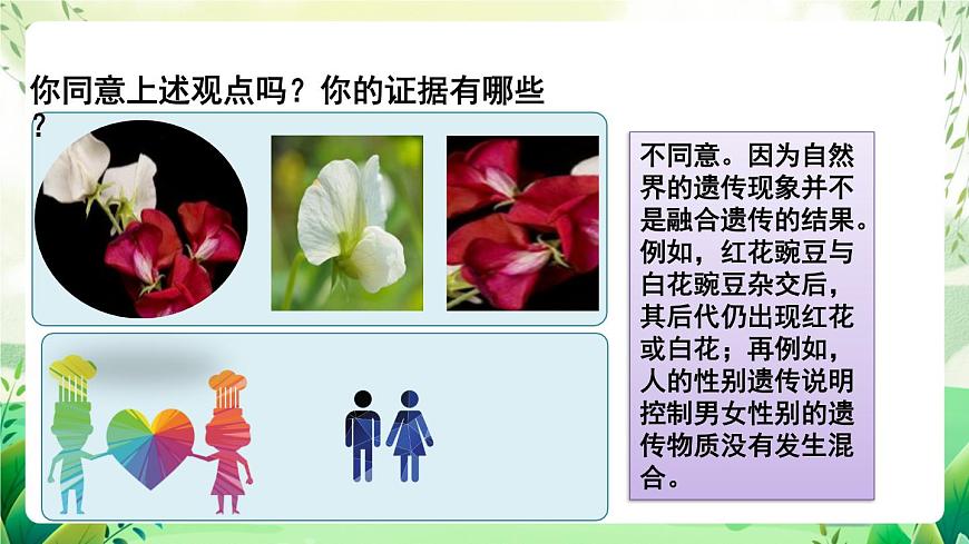 人教版高中生物必修二1.1《孟德爾的豌豆雜交實(shí)驗(yàn)(一)》（第1課時）（教學(xué)課件）第5頁