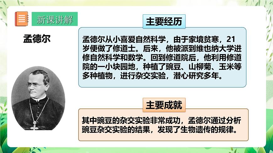 人教版高中生物必修二1.1《孟德爾的豌豆雜交實(shí)驗(yàn)(一)》（第1課時）（教學(xué)課件）第6頁