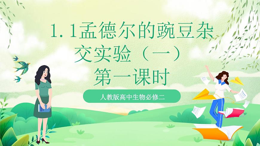 人教版高中生物必修二1.1《孟德爾的豌豆雜交實驗(一)》（第2課時）（教學(xué)課件）第1頁