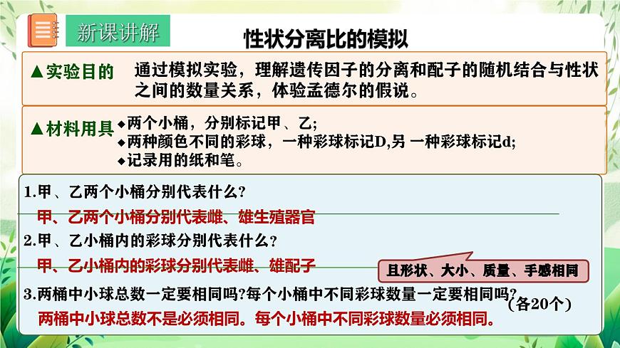 人教版高中生物必修二1.1《孟德爾的豌豆雜交實驗(一)》（第2課時）（教學(xué)課件）第4頁