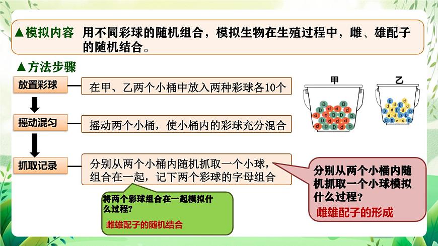 人教版高中生物必修二1.1《孟德爾的豌豆雜交實驗(一)》（第2課時）（教學(xué)課件）第5頁