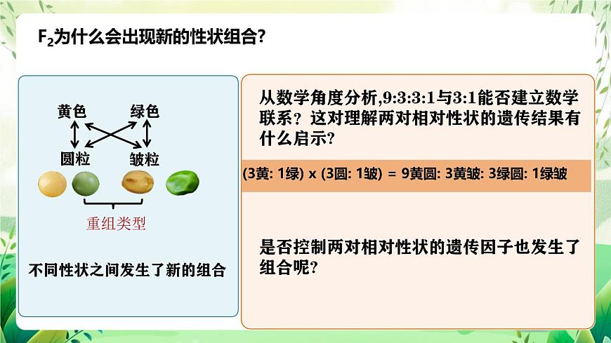 人教版高中生物必修二1.2《孟德爾的豌豆雜交實(shí)驗(yàn)(二)》（第1課時）（教學(xué)課件）第7頁