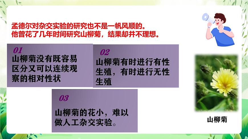 人教版高中生物必修二1.2《孟德爾的豌豆雜交實驗(二)》（第2課時）（教學課件）第4頁