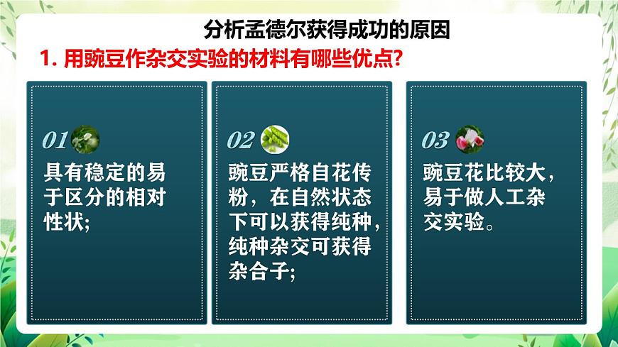 人教版高中生物必修二1.2《孟德爾的豌豆雜交實驗(二)》（第2課時）（教學課件）第5頁