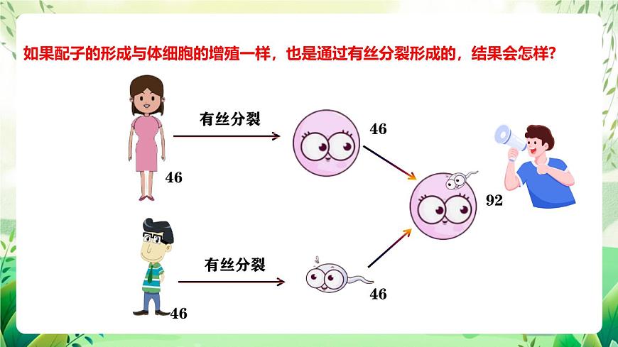 人教版高中生物必修二2.1.1《減數(shù)分裂》（第1課時(shí)）（教學(xué)課件）第5頁(yè)