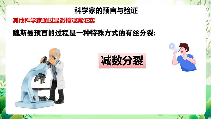 人教版高中生物必修二2.1.1《減數(shù)分裂》（第1課時(shí)）（教學(xué)課件）第7頁(yè)