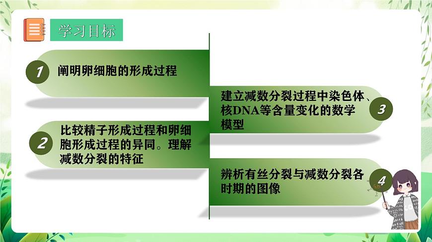 人教版高中生物必修二2.1.1《減數(shù)分裂》（第2課時）（教學課件）第2頁