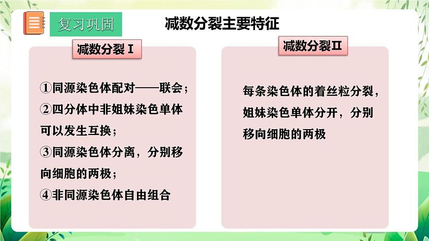 人教版高中生物必修二2.1.1《減數(shù)分裂》（第2課時）（教學課件）第5頁