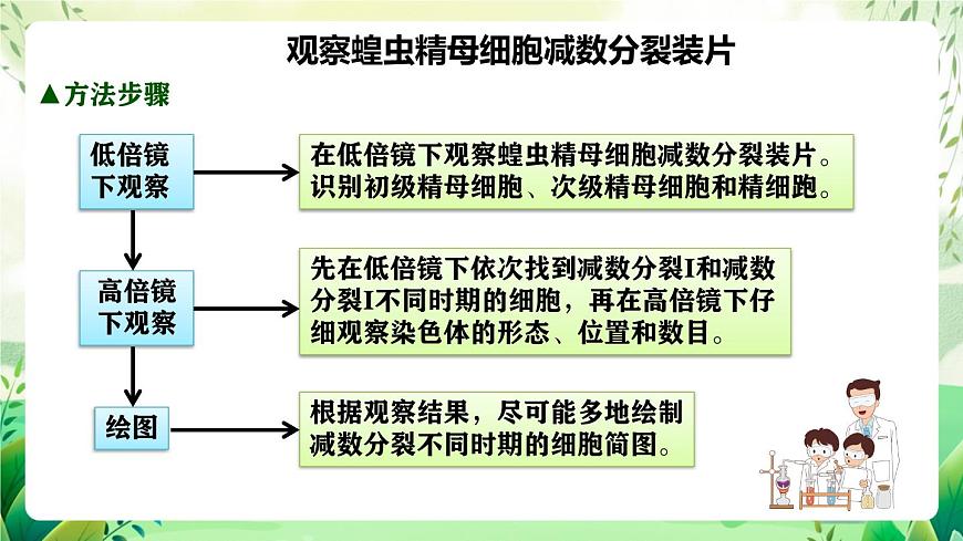 人教版高中生物必修二2.1.2《受精作用》（教學(xué)課件）第6頁(yè)