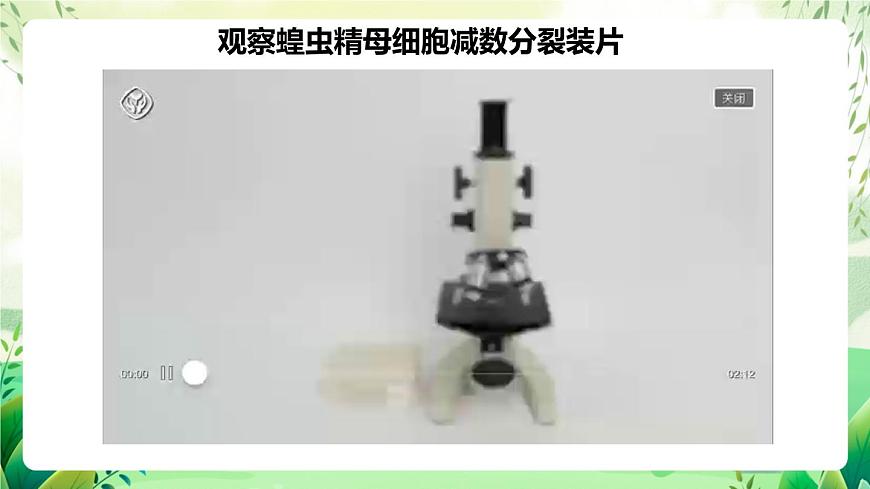 人教版高中生物必修二2.1.2《受精作用》（教學(xué)課件）第8頁(yè)