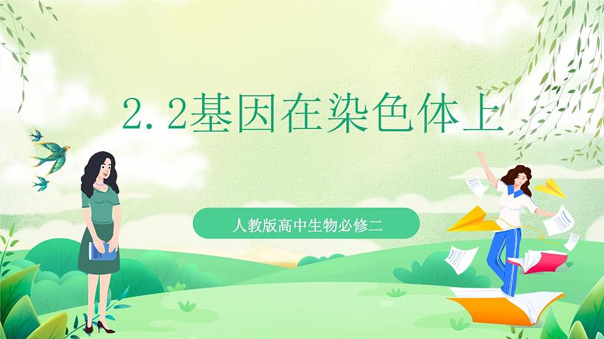 人教版高中生物必修二2.2《基因在染色體上》（教學(xué)課件）第1頁