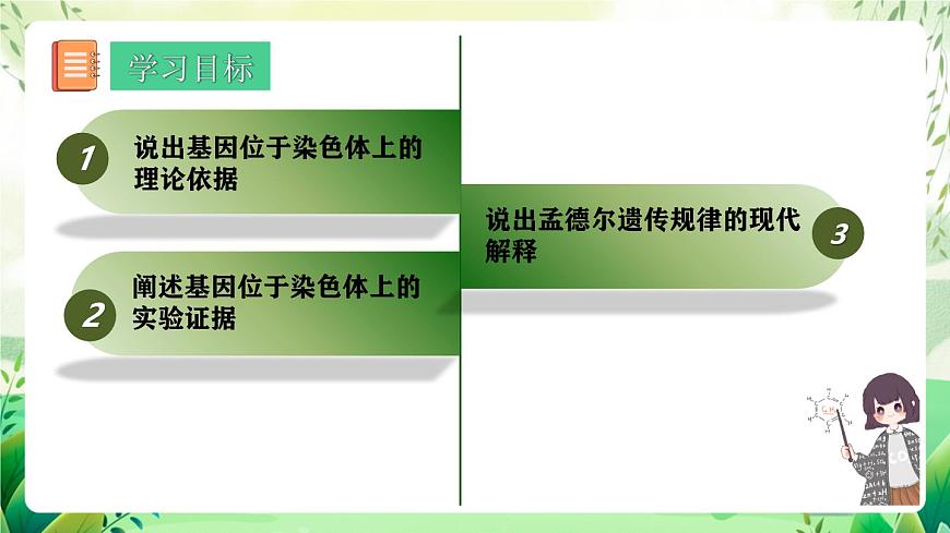 人教版高中生物必修二2.2《基因在染色體上》（教學(xué)課件）第2頁