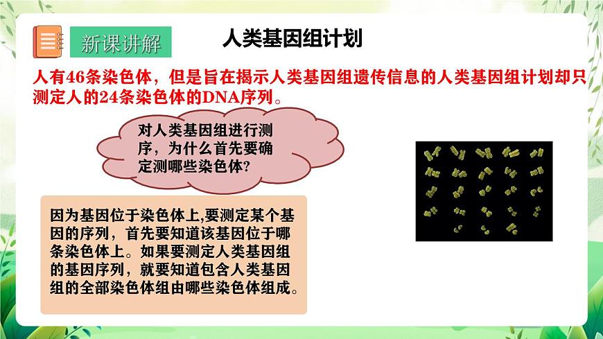 人教版高中生物必修二2.2《基因在染色體上》（教學(xué)課件）第4頁