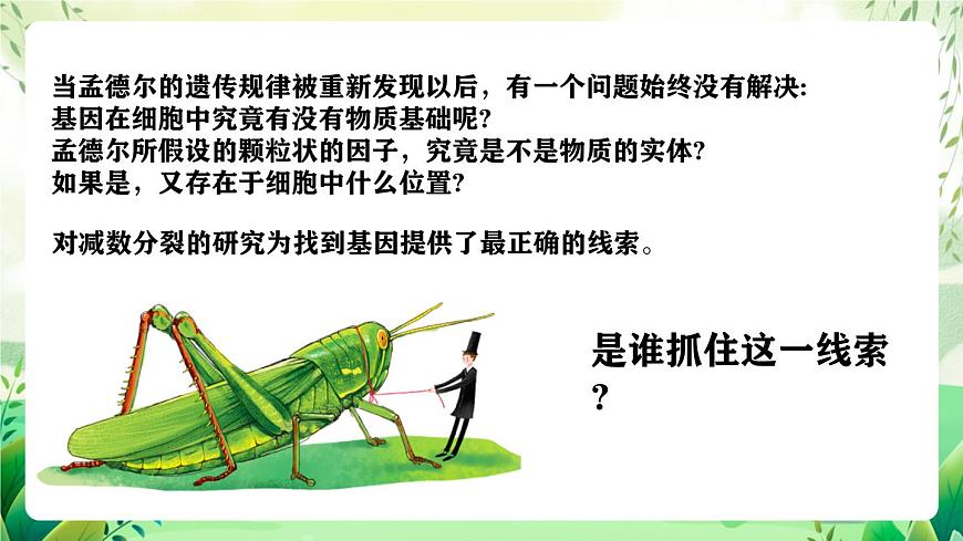 人教版高中生物必修二2.2《基因在染色體上》（教學(xué)課件）第6頁