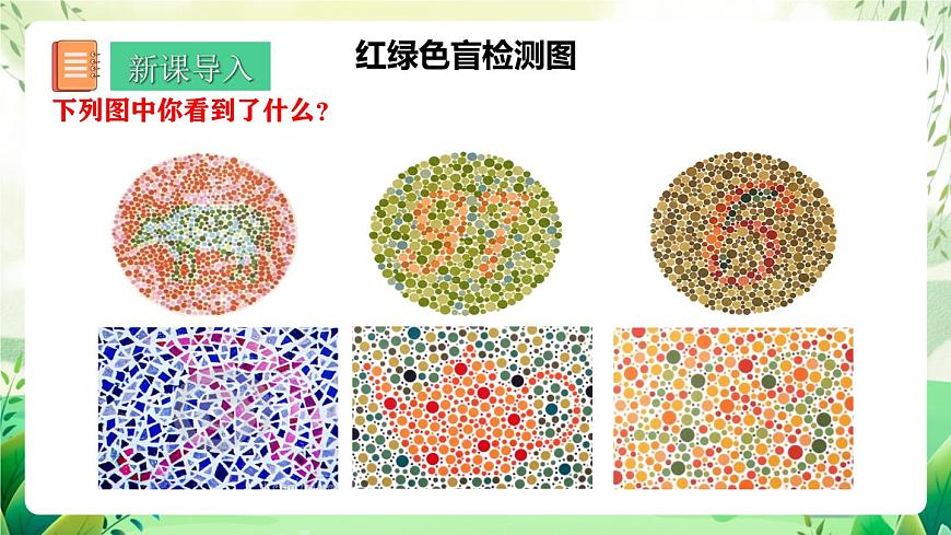 人教版高中生物必修二2.3《伴性遺傳》（教學(xué)課件）第3頁