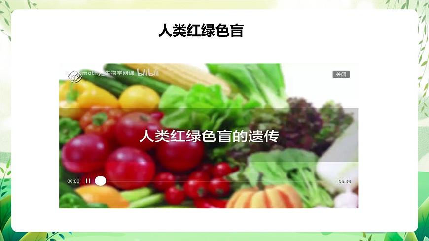 人教版高中生物必修二2.3《伴性遺傳》（教學(xué)課件）第4頁