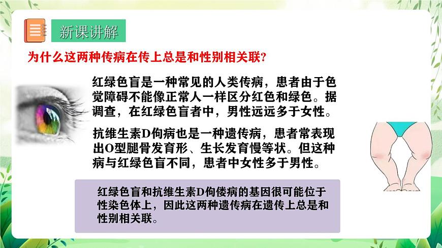 人教版高中生物必修二2.3《伴性遺傳》（教學(xué)課件）第5頁