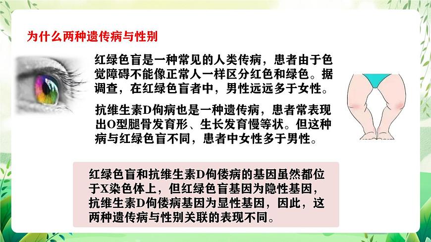 人教版高中生物必修二2.3《伴性遺傳》（教學(xué)課件）第6頁