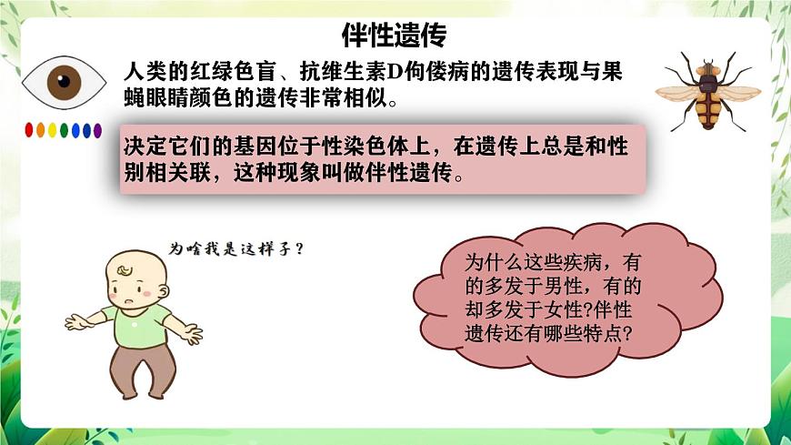 人教版高中生物必修二2.3《伴性遺傳》（教學(xué)課件）第7頁
