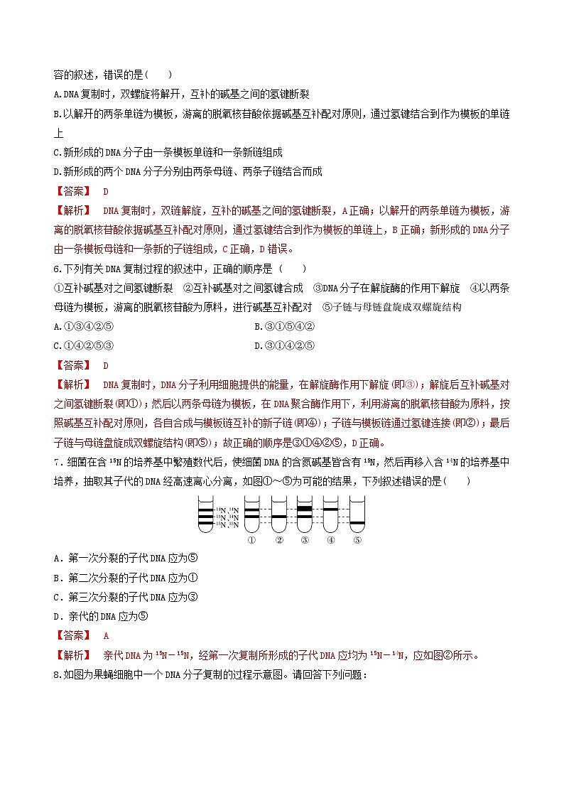 人教版高中生物必修二3.3《DNA的复制》(分层作业)(解析版)第2页