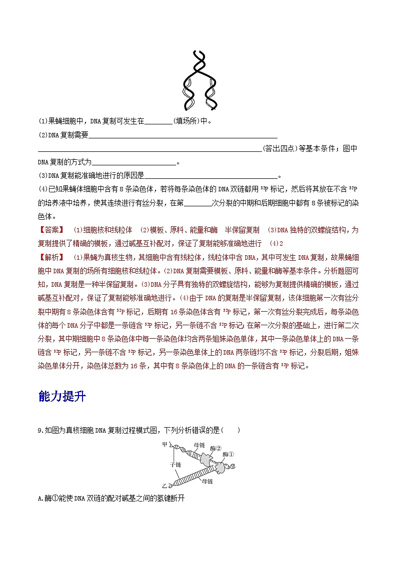 人教版高中生物必修二3.3《DNA的复制》(分层作业)(解析版)第3页