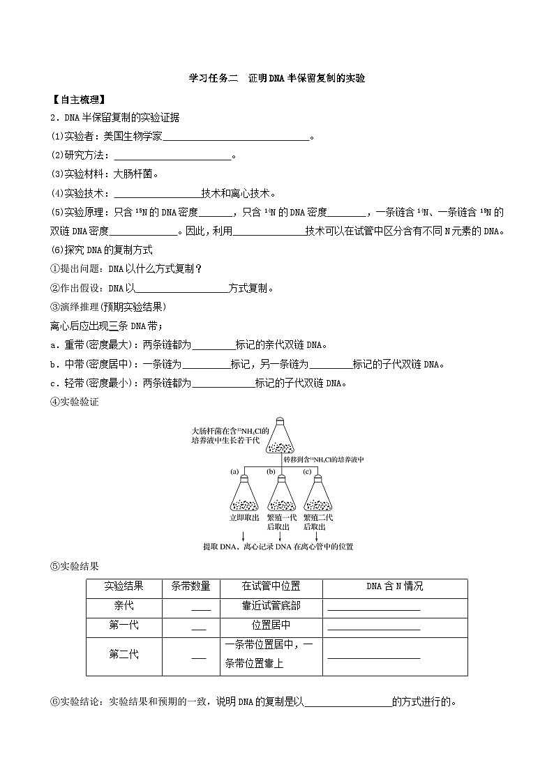 人教版高中生物必修二3.3《DNA的复制》(导学案)(原卷版)第2页